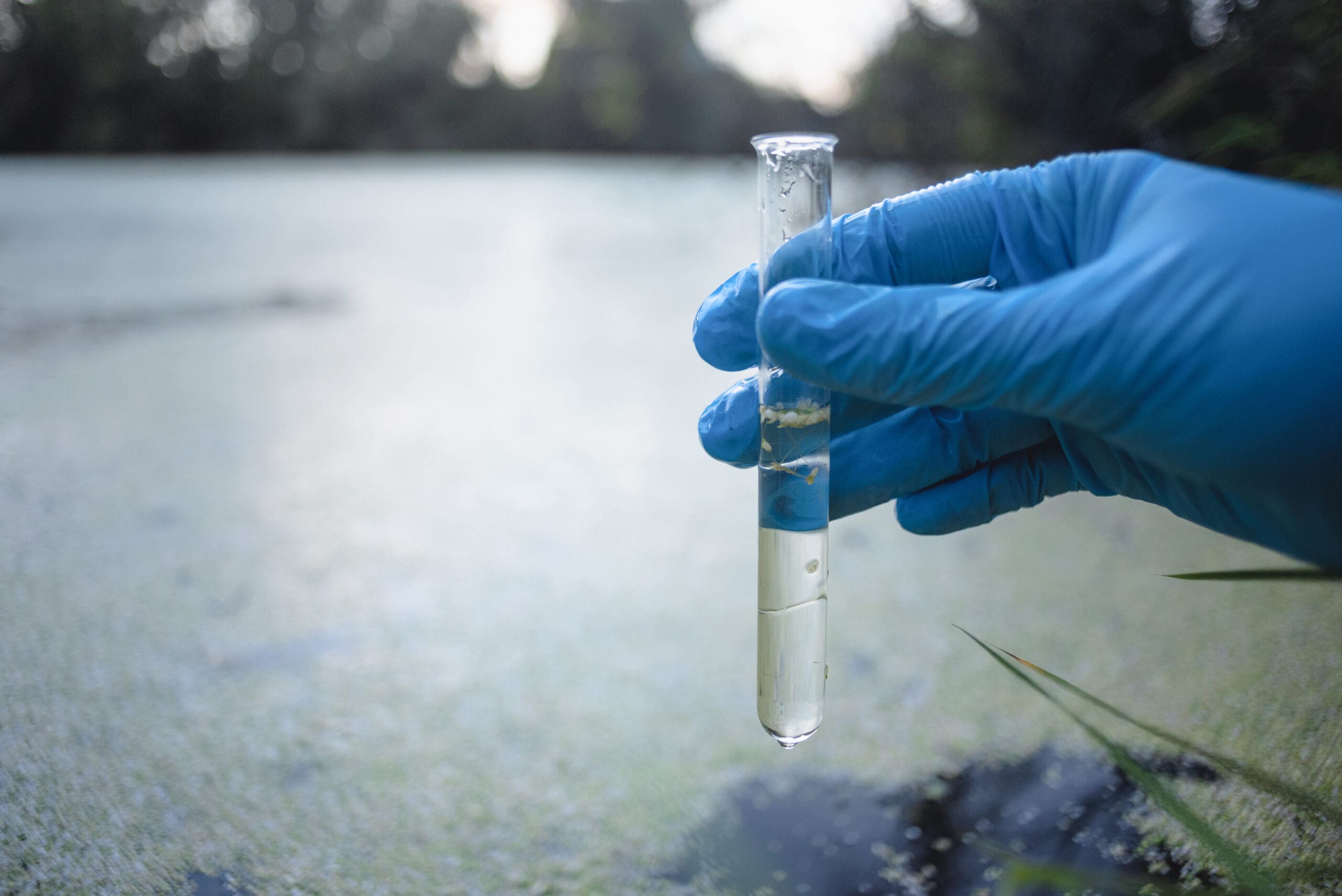 Testing Water pollution.