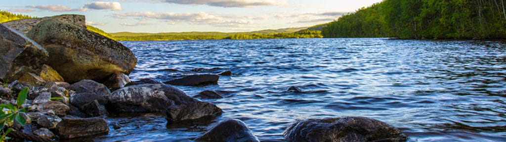 Water Background